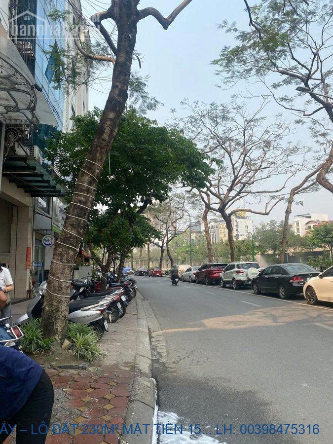 CẦU GIẤY – LÔ ĐẤT 230M² MẶT TIỀN 15M – HÀNG HIẾM “KHÔNG CÓ L